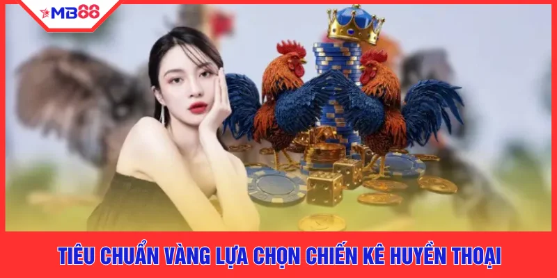 Tiêu chuẩn vàng lựa chọn chiến kê huyền thoại